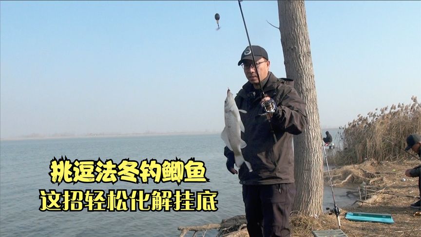 独孤钓夫 挑逗法钓鲫鱼挂底别着急 [视频]