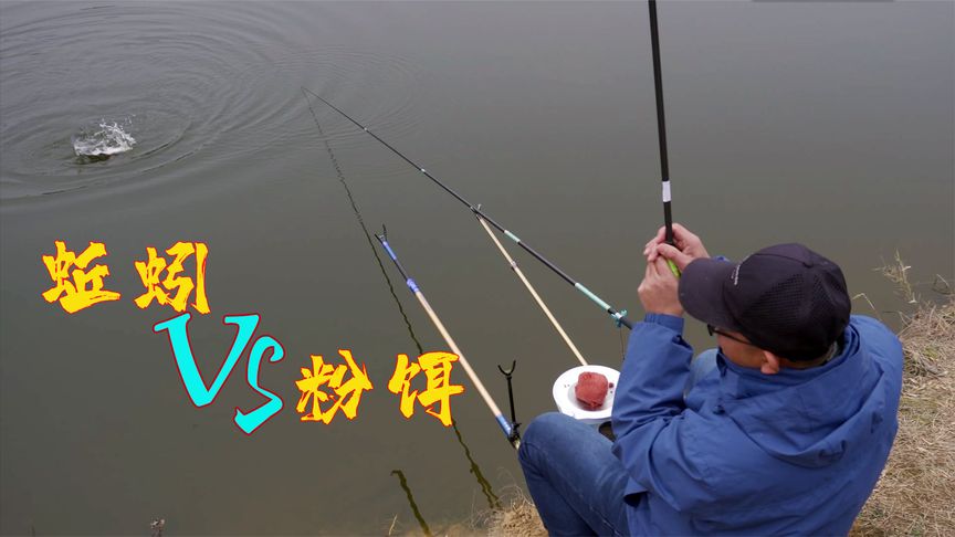 户外老曹 冬季钓鱼，蚯蚓好用还是饵料好用？ [视频]