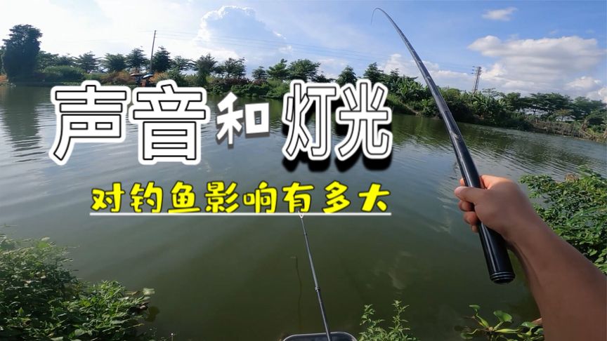 钓鱼维 灯光和声音对“钓鱼”的影响究竟有多大 [视频]