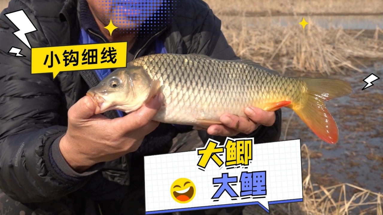 游钓中国第八第7集 小钩细线探肥东 [视频]