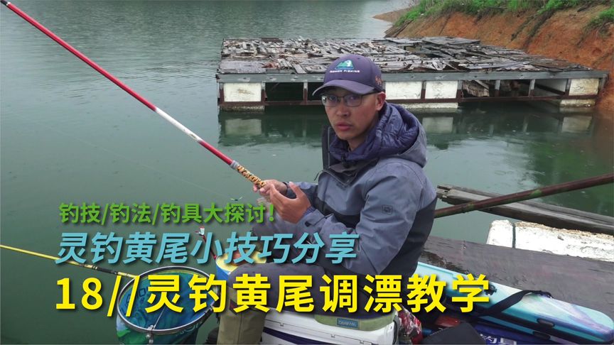 白条杀手 灵钓黄尾调漂教学 [视频]