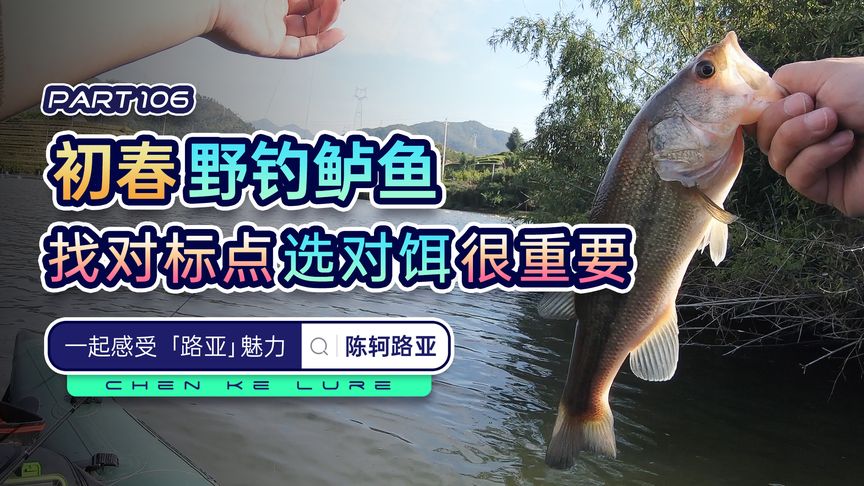 陈轲路亚 路亚初春钓鲈鱼，找对标点 视频]