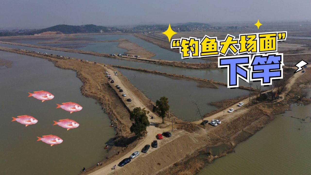游钓中国第八第8集 千人竞钓黄陂湖 [视频]