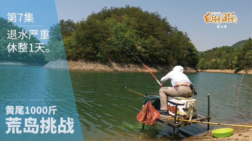 白条杀手 荒岛挑战遭遇严重退水，先把窝子养好 [视频]