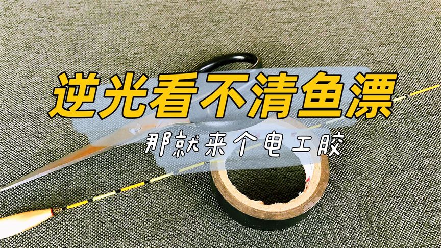 钓鱼维 逆光看不清鱼漂，一个比太阳镜还好的办法 [视频]	