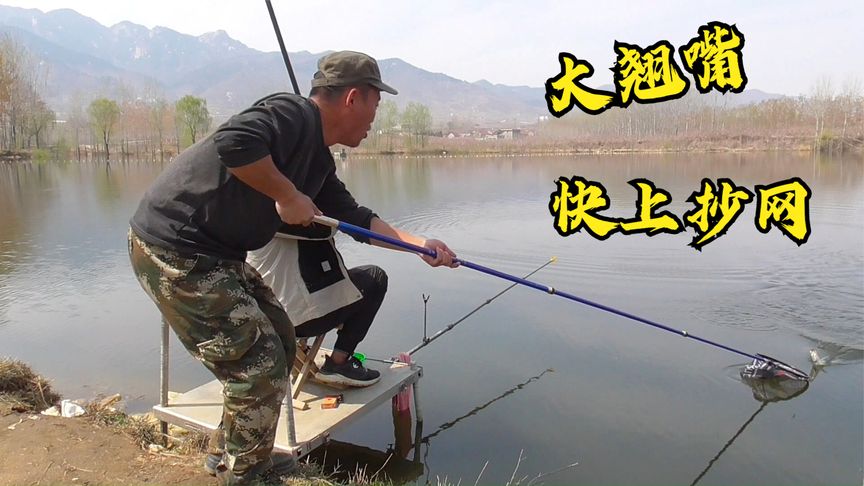 农夫愚公 水库盘翘嘴大湖钓鲤鱼 [视频]