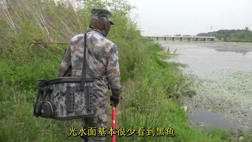 三本先生 点钓黑鱼 【河道、水库点钓黑鱼】 [视频]