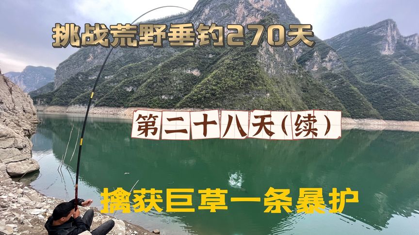 二毛荒野垂钓生活 白天擒获大草鱼，一条暴护 [视频]