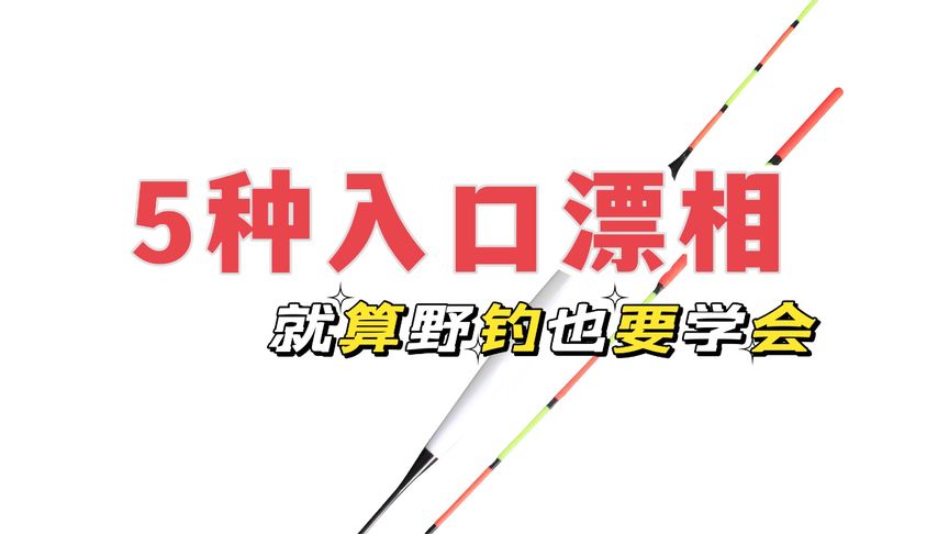 钓鱼维 钓鱼看懂这五种漂相，每次多钓几斤鱼 [视频]