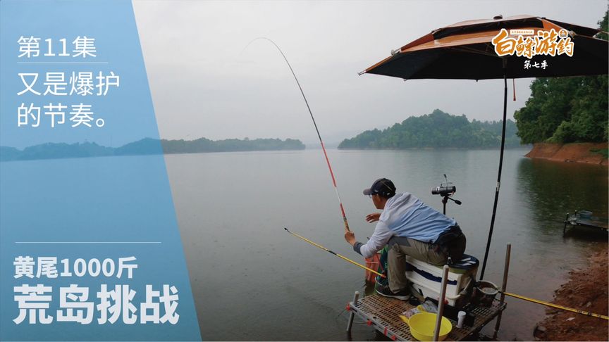 白条杀手 夜幕降临小雨淅沥，又是一个爆护的夜晚 [视频]