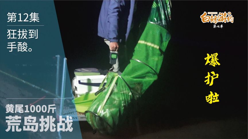 白条杀手 荒岛黄尾挑战，迎来第一个渔获高峰 [视频]