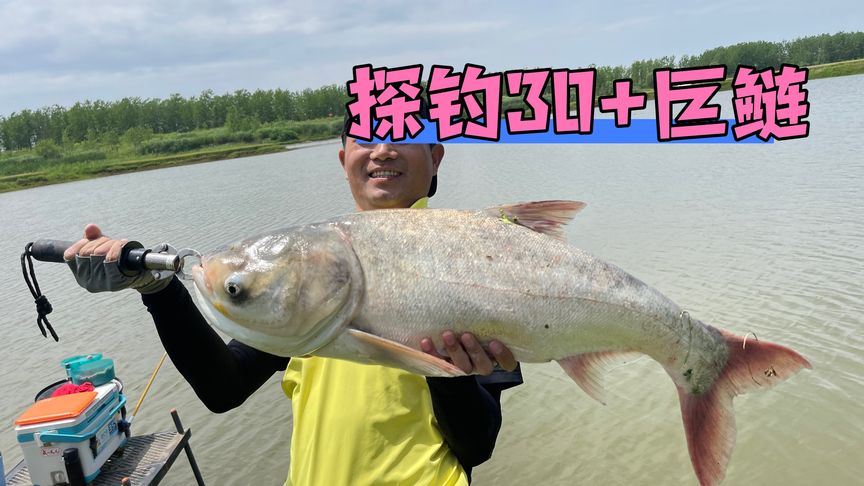 邓刚钓鱼 探钓30+巨鲢 [视频]