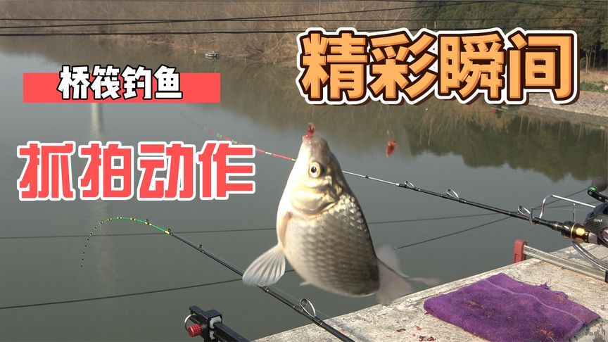 桥筏江湖 抓拍桥筏钓鱼，鱼儿吃饵瞬间 [视频