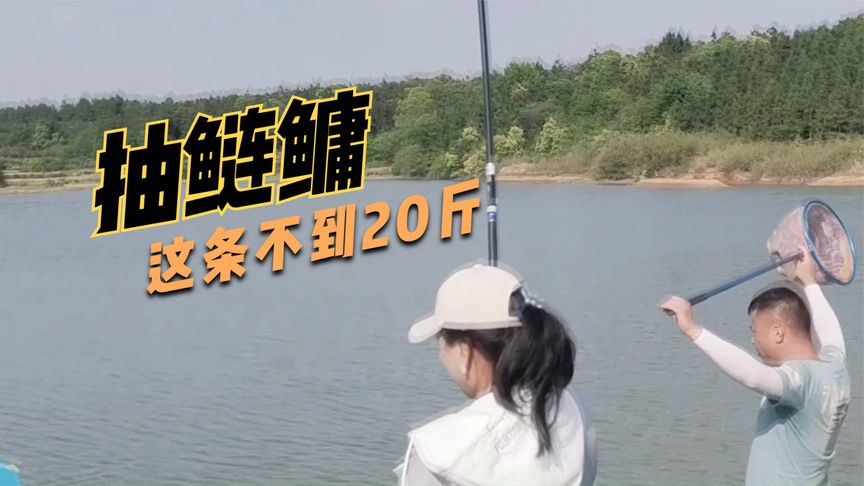 湘村小兰 我钓的这条鲢鳙，比朋友钓的大 [视频]