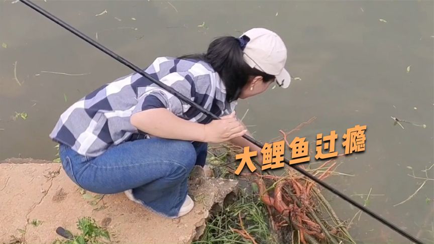 湘村小兰 免费水库夜钓大鲤鱼，这水深刚好 [视频]