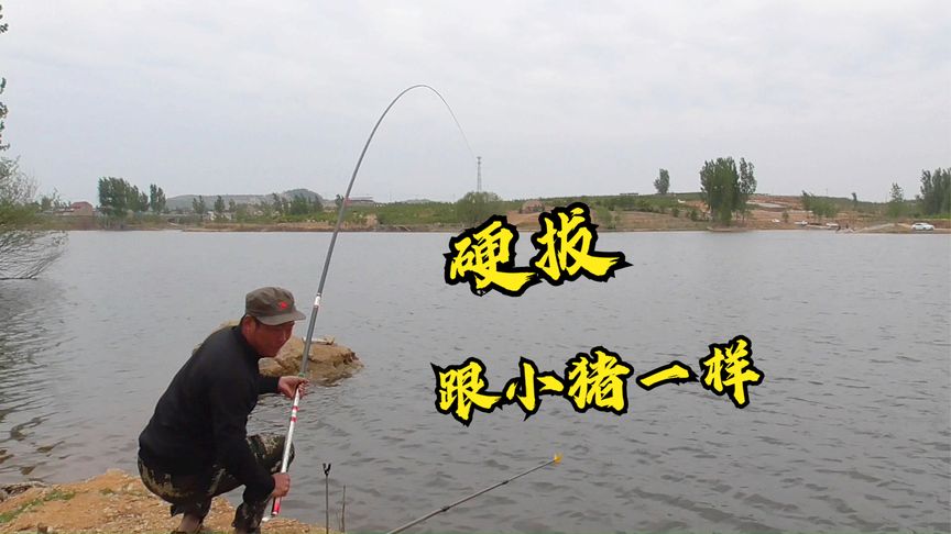 农夫愚公 沂蒙山区水域寻巨鲤第二天 [视频]