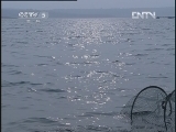 运动空间之野钓集结号 中 李大毛燃灯水库钓大草鱼 [视频]