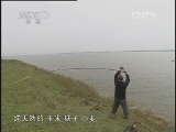 运动空间之野钓集结号 下 传统钓大翘嘴 [视频]