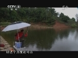 游钓中国第11集 王桂龙钓获鲤鱼和草鱼 [视频]
