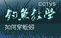 cctv5钓鱼教学10(中) 如何穿蚯蚓