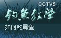 cctv5钓鱼教学13(下) 如何钓黑鱼