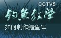 cctv5钓鱼教学19(下) 如何制作鲤鱼饵
