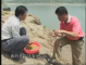 程宁鲫鱼钓底教学视频[1-3全集]