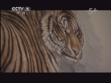 游钓中国第31集 河南民权3 龙泽湖钓鲤鱼 20130302