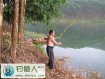 光胳膊在凤亭水库钓获三条大鲤鱼