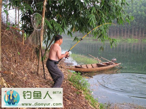 钓友遛鱼