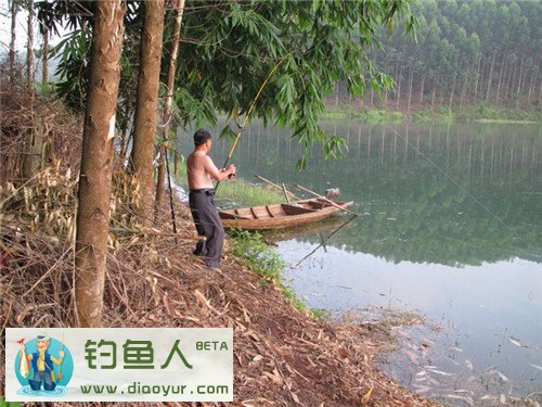 海竿钓鲤鱼