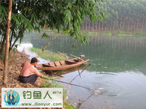 抄鱼