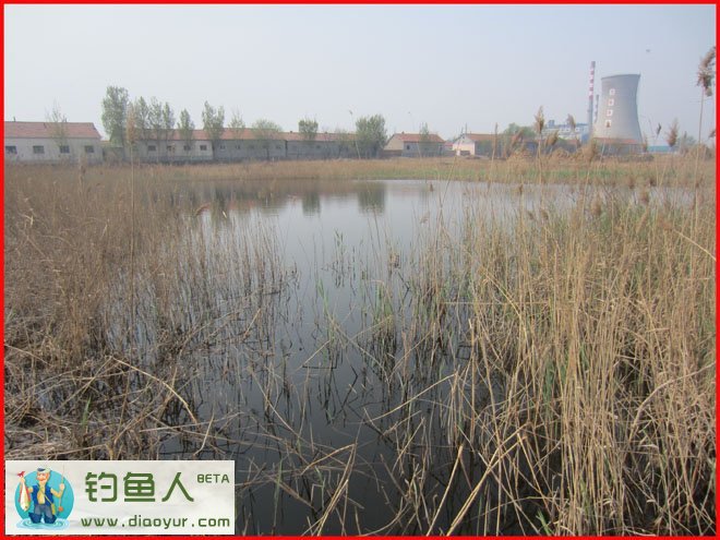 鱼塘全景