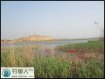 春季在渡窑水库垂钓鲫鱼连连不断