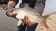 垂钓学院第一季36 初探黑坑 2013-03-14