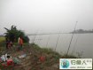 开平钓友潭江用海竿爆炸钩钓获41斤大青鱼