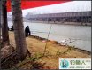 钓鱼人一天辗转多钓场最后终疯狂爆护