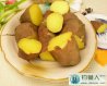 自制红薯玉米面钓鲤鱼饵料配方介绍