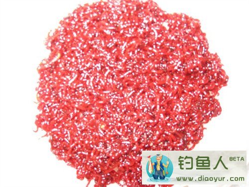 新鲜的红虫