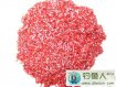 冬季钓鱼用红虫如何保存和保养[图文]
