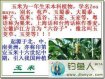 [素饵之王]玉米粒鱼饵自制技巧大全