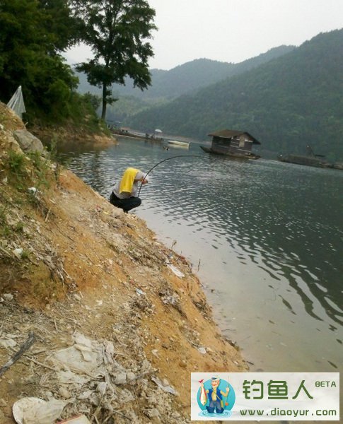 水库钓鲢鱼