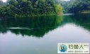 水库用玉米粒连续打重窝钓获20斤大鲤鱼分享