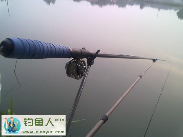 水库中通竿钓草鱼