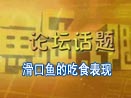 鱼乐无限2011第4期 滑口鱼的吃食表现