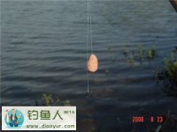 六钓鲢鳙的钩子和钩距分析