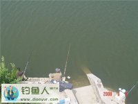 十一钓鲢鳙鱼如何选择钓位分析