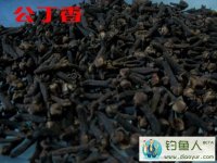 小药之王丁香油和丁香酒的自制过程介绍