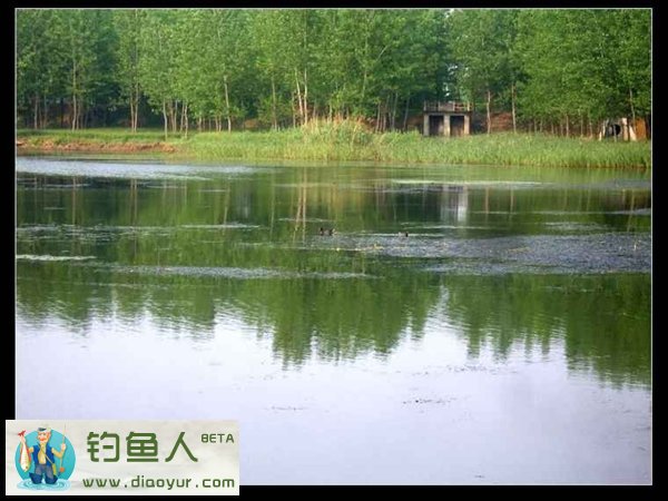钓鱼技巧