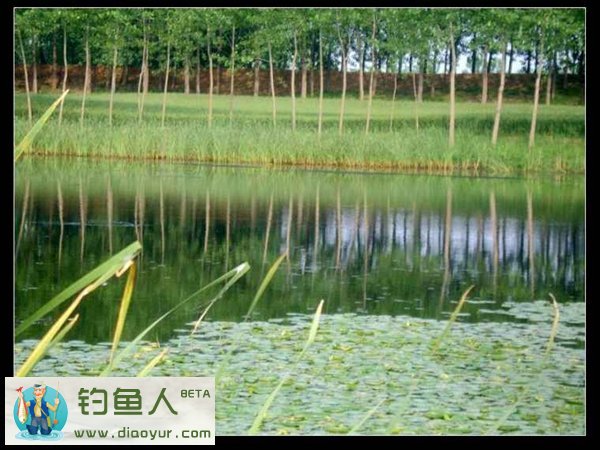 鸣九河风景